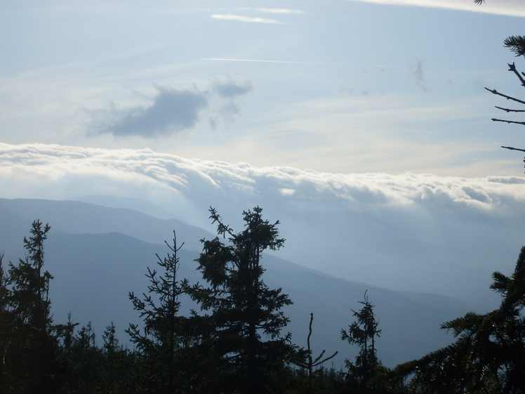 view on Snezka from Sklanik (Poland), Snezka or Sněžka