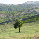 naser ramezani :  dorfak