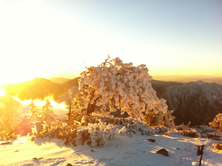 Throop Peak weather