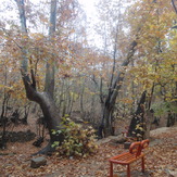 charming forest, Ghalat