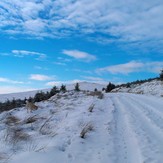 close to summit, Croghan Mountain