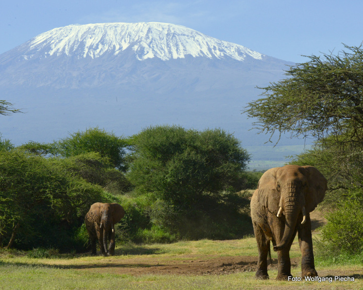 Kilimanjaro from southwest, Mount Kilimanjaro