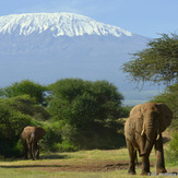Kilimanjaro from southwest, Mount Kilimanjaro