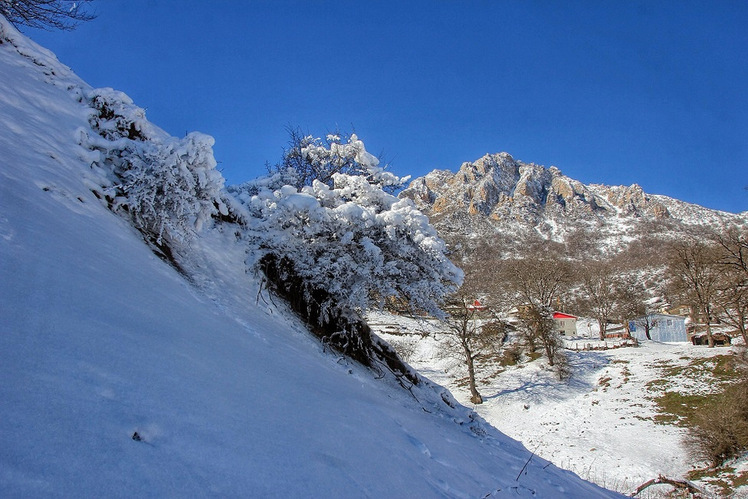 Ali Saeidi NeghabeKoohestaN, Damavand (دماوند)