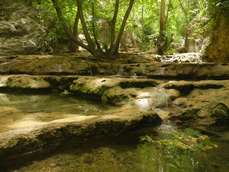 Beheshte Gomshodeh, Roanj