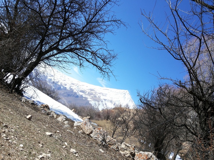 damavand, Damavand (دماوند)