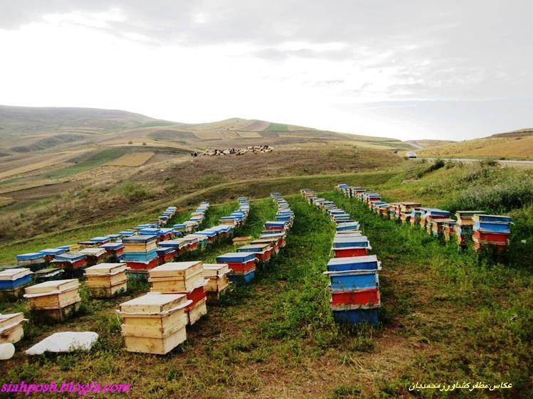 sabalan سبلان