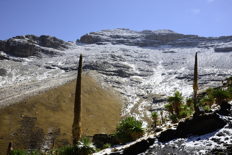 Ras Dejen from west, Ras Dashen