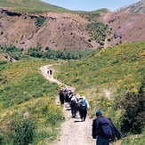 naser ramezani :  oshtoran kouh, سن بران