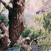 naser ramezani :  oshtoran kouh, سن بران