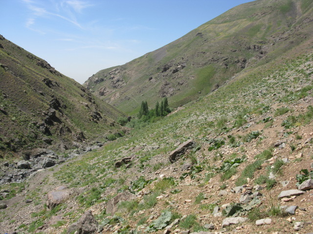 naser ramezani : darabad, Touchal