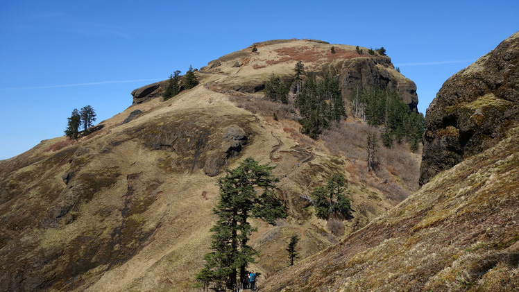 Saddle Mountain (Clatsop County, Oregon) weather