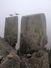 adam and eve, Tryfan photo