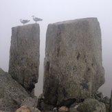 adam and eve, Tryfan