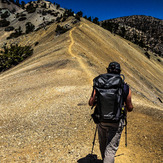 Anthony Vito Fiore - Training Hike, Mount San Antonio