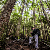 Anthony Vito Fiore - Mailbox Peak Climb - Washington State