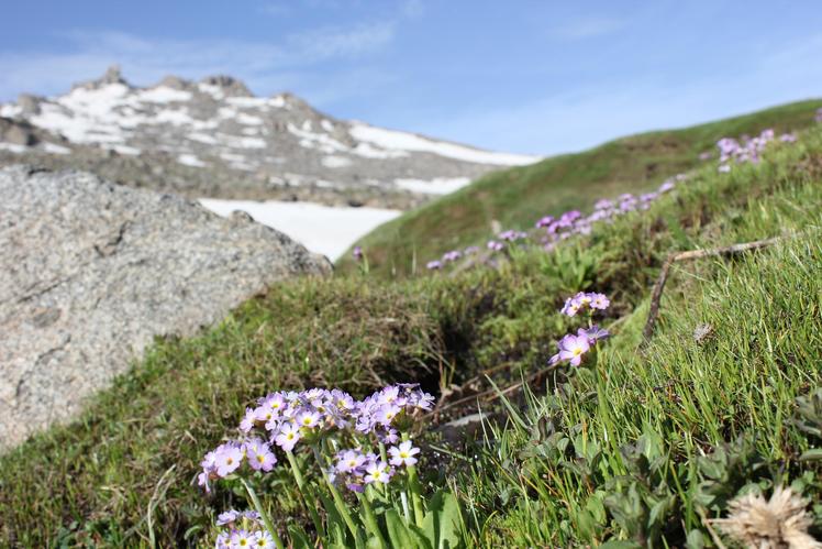 Alvand peak, Alvand (الوند)