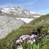 Alvand peak, Alvand (الوند)