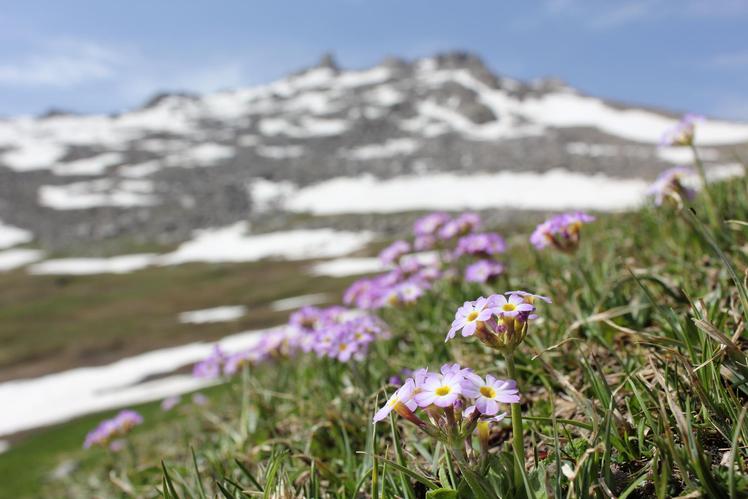 Alvand peak, Alvand (الوند)