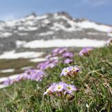 Alvand peak, Alvand (الوند)