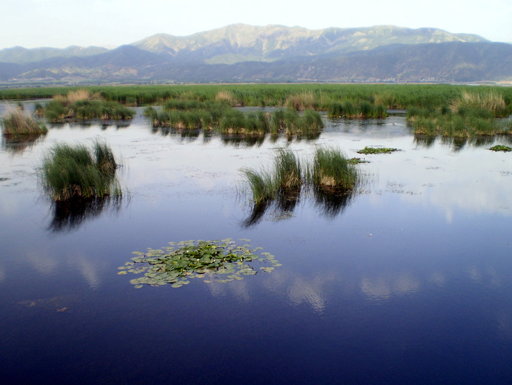 Ali Saeidi NeghabeKoohestaN, Mt Zard