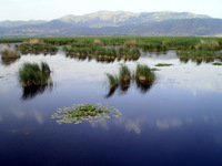 Ali Saeidi NeghabeKoohestaN, Mt Zard photo