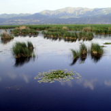 Ali Saeidi NeghabeKoohestaN, Mt Zard