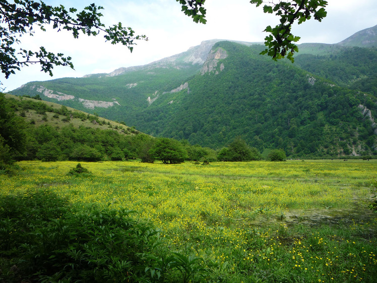 Daryasar