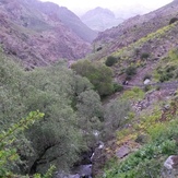 naser ramezani : palangchal, Touchal