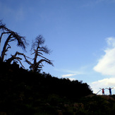 Ali Saeidi NeghabeKoohestaN, Damavand (دماوند)