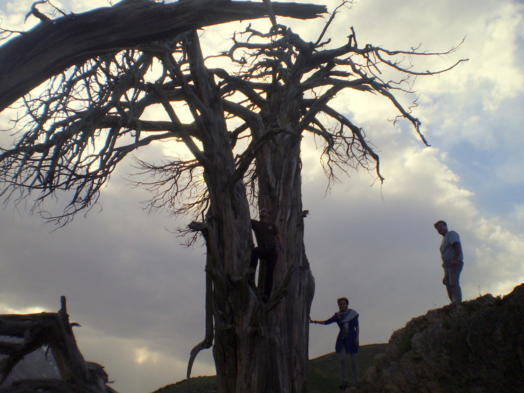 Ali Saeidi NeghabeKoohestaN, Damavand (دماوند)