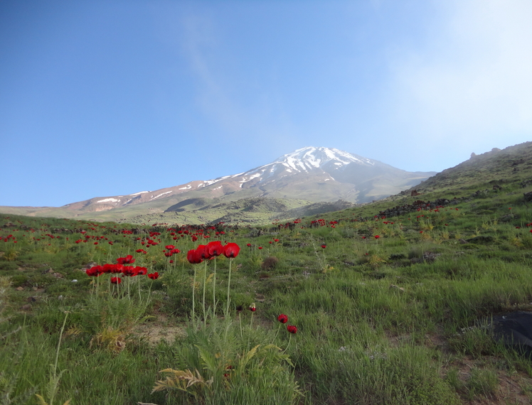 Mount Damavand, Damavand (دماوند)