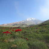 Mount Damavand, Damavand (دماوند)