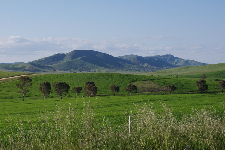 Mt Bryan and the Razorback, Mount Bryan