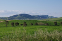 Mt Bryan and the Razorback, Mount Bryan photo