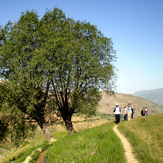 Ali Saeidi NeghabeKoohestaN, Damavand (دماوند)