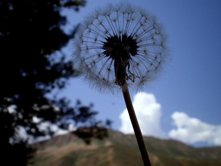 Ali Saeidi NeghabeKoohestaN, Damavand (دماوند)