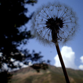 Ali Saeidi NeghabeKoohestaN, Damavand (دماوند)