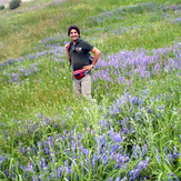 Ali Saeidi NeghabeKoohestaN, Damavand (دماوند)