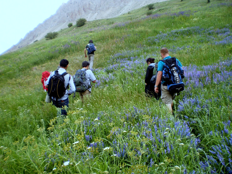 Ali Saeidi NeghabeKoohestaN, Damavand (دماوند)