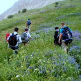 Ali Saeidi NeghabeKoohestaN, Damavand (دماوند)