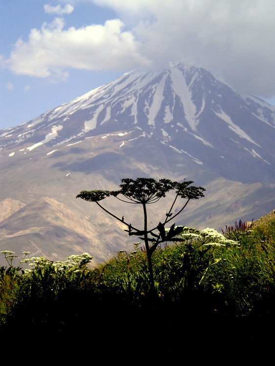 Ali Saeidi NeghabeKoohestaN, Damavand (دماوند)