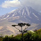 Ali Saeidi NeghabeKoohestaN, Damavand (دماوند)