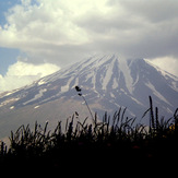 Ali Saeidi NeghabeKoohestaN, Damavand (دماوند)