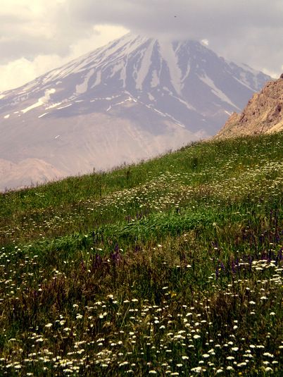 Ali Saeidi NeghabeKoohestaN, Damavand (دماوند)