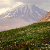 Ali Saeidi NeghabeKoohestaN, Damavand (دماوند)