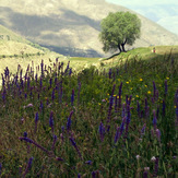 Ali Saeidi NeghabeKoohestaN, Damavand (دماوند)