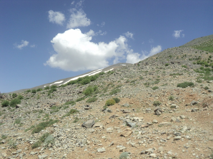 Naaz summit