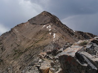 Mt Nebo, Mount Nebo photo