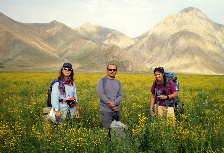 Ali Saeidi NeghabeKoohestaN, Damavand (دماوند)